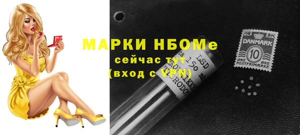 ГАЛЛЮЦИНОГЕННЫЕ ГРИБЫ Верея