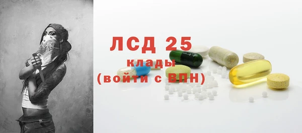 ГАЛЛЮЦИНОГЕННЫЕ ГРИБЫ Верея