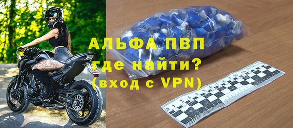 ГАЛЛЮЦИНОГЕННЫЕ ГРИБЫ Верея