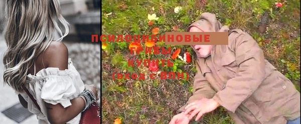 ALPHA PVP Покровск