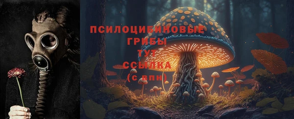 таблы Верхний Тагил