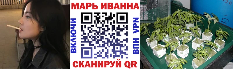 Бошки Шишки Amnesia  как найти закладки  Всеволожск 